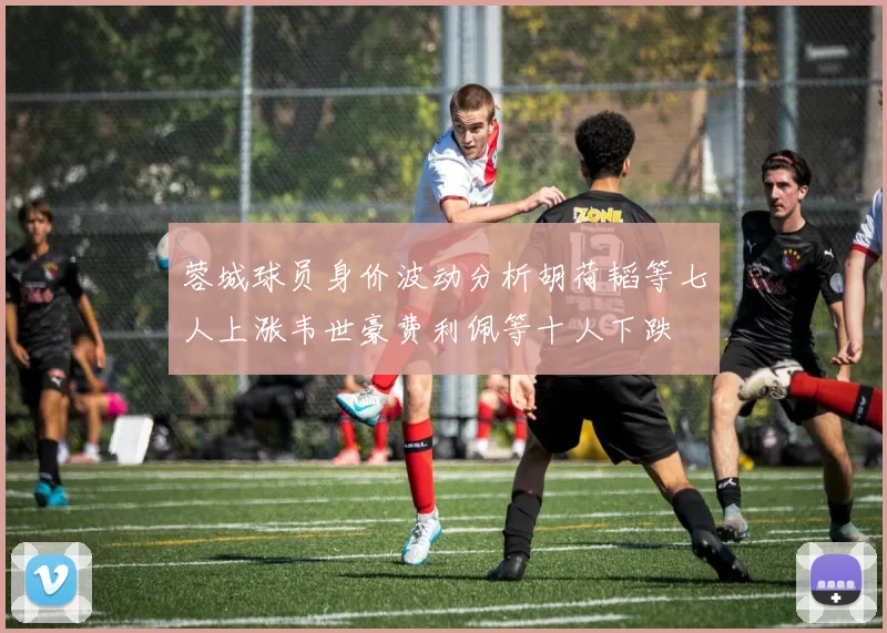 蓉城球员身价波动分析胡荷韬等七人上涨韦世豪费利佩等十人下跌