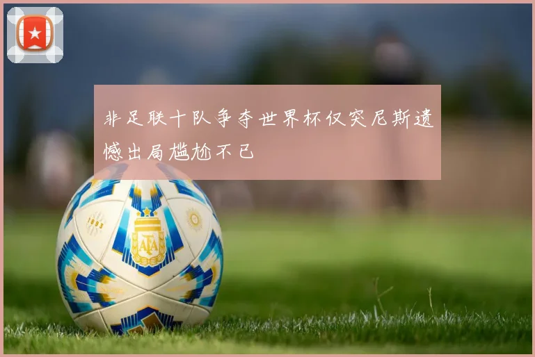 非足联十队争夺世界杯仅突尼斯遗憾出局尴尬不已